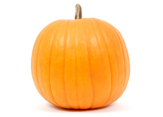 Pumpkin on White Background