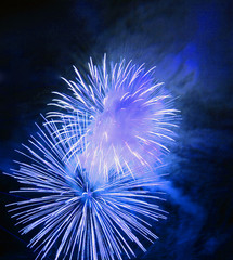 Great firework on night sky - celebration of an event.