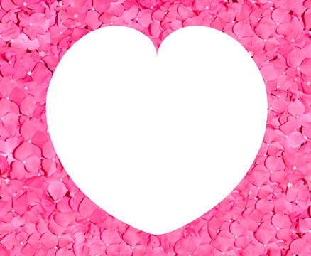 roses petals valentine heart