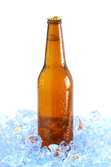 beer bottle on ice