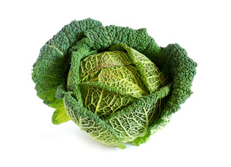 Fresh savoy cabbage