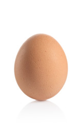 One animal egg isolated against white background