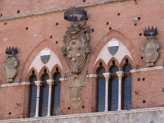 Pallazo Pubblico windows