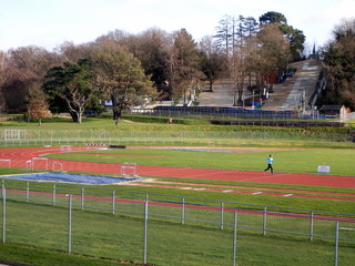 Track and Field - The Runner
