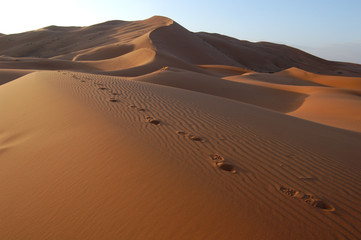 Fototapeta na wymiar Ludzkie ślady na piasku na Saharze, Maroko
