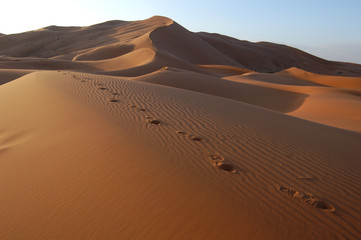 Human footsteps in the sand in the Sahara Desert, Morocco
