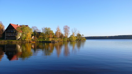 Fototapeta premium Golden autumn