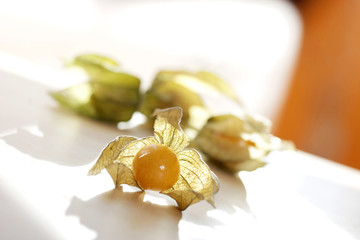 physalis