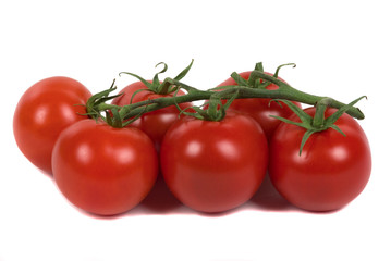 Organic vine tomatoes