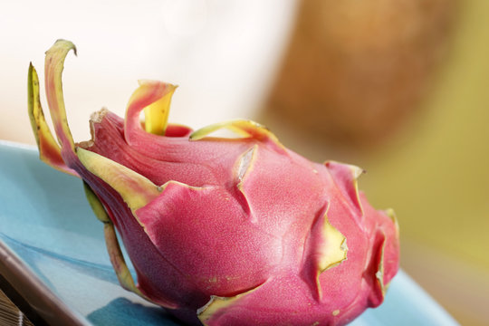 drachenfrucht