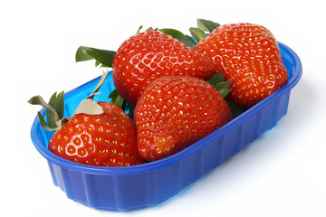 strawberries in blue bowl isolatwd on white - Powered by Adobe