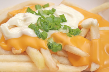 French fries with gooey cheese sauce