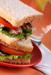 Tuna sandwich with tomato on orange background