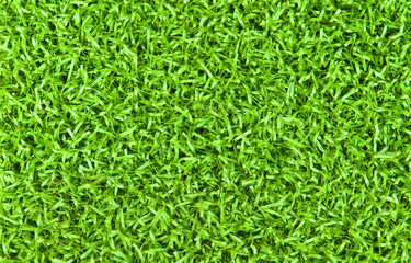 Bright Green Grass Background Texture