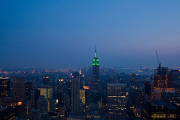 Fototapeta na wymiar Manhattan in the twilight. New York