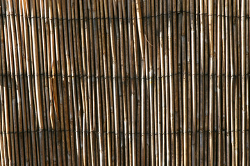 bamboo texture