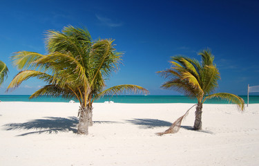 Beautiful beach at Passion Island, Mexico