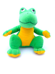 Naklejka premium Frosch