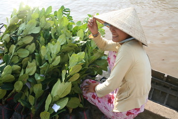Obraz premium Blumenverkäuferin in Vietnam