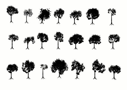 3D Trees.  