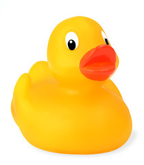 Cute little rubber duckie, with clipping path.