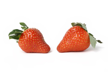 strawberries isolated on white