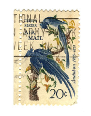 Old postage stamps from USA with two birds