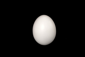 white  egg 