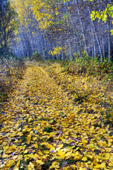 Cañon del rio Dulce