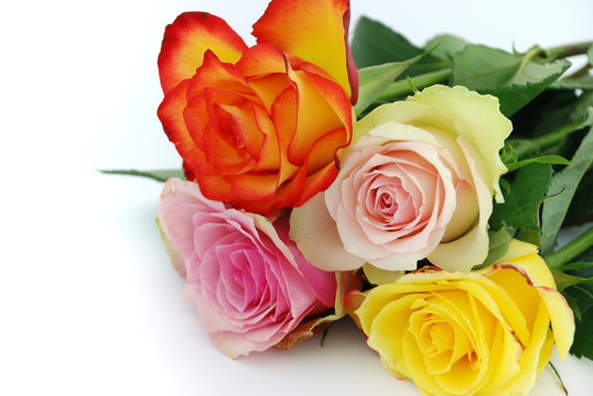 A bouquet of valentine roses on white background.