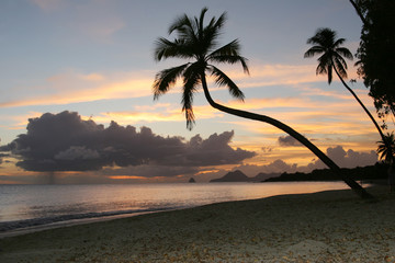 plage des salines, Martinique