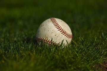 Baseball on the green grass of a ball field
