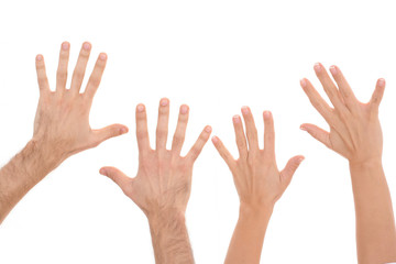 human hands isolated on white - team concept