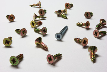 Screw bolts in white background