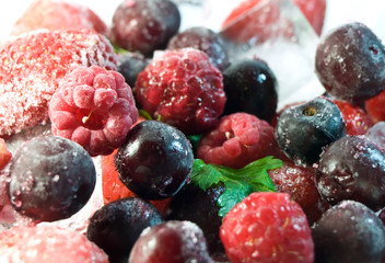 berries, winter