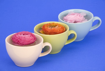 Flower cups.