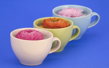 Flower cups.
