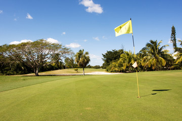 yellow flag on golf course putting green - Powered by Adobe