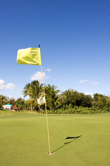 Obraz premium yellow flag on golfing green casting a shadow