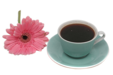 The cup from coffee and a pink flower is on a white background 