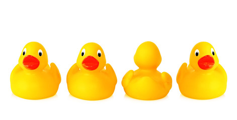 Dare to be different - rubber ducks, with an odd one out.