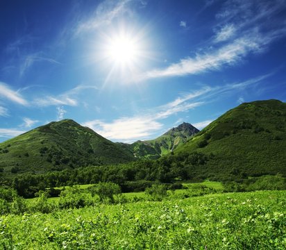 Summer Green Hills