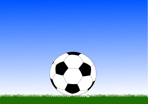ball on green grass
