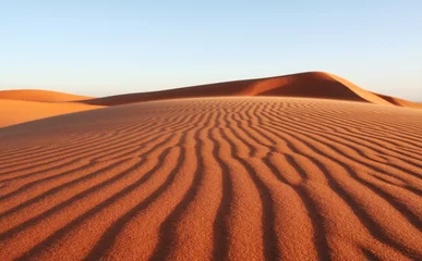 Zelfklevend Fotobehang Sand desert © Galyna Andrushko