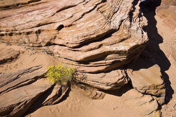 Red Sandstone - Arizona USA (AK)