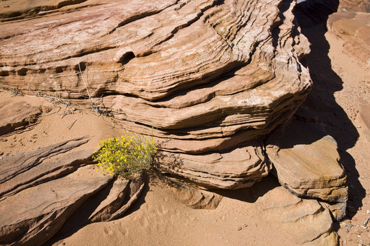 Red Sandstone - Arizona USA (AK)
