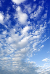 Blue  sky background.