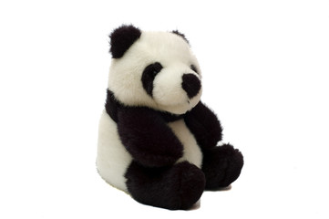 Panda Bear One