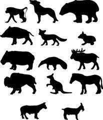 Naklejka premium Animals.Silhouettes wild and pets in different poses