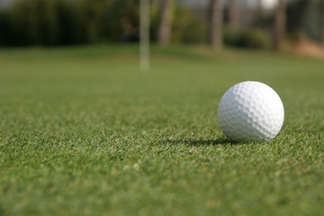 A golf ball is lying on the green